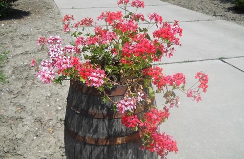 Pietrelcina Bed & Breakfast | La Dolce Sosta