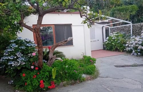 Casamicciola Terme House | La Dracena