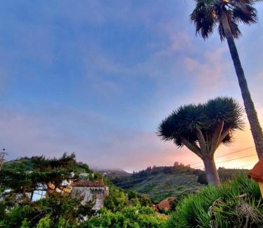 Santa Maria de Guia de Gran Canaria House | La Escuelita