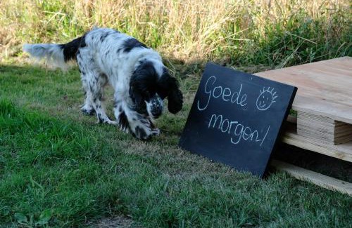 Vicq-Exemplet Apartment | La Fermette Henriette 3 sterren