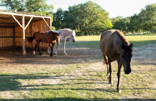 Vicq-Exemplet Apartment | La Fermette Henriette 3 sterren