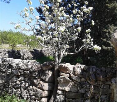 Santeramo in Colle House | La Ferula Bed&Pool