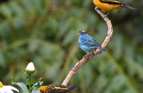 Dagua House | La Finca - Eco Hotel