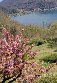 Brusimpiano Bed & Breakfast | La Finestra sul Lago