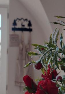 Montagnaga Apartment | La Fontana di Casa Bernardi, terrazzo Wi-Fi PetFriendly con Area Cani