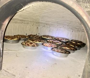 Villanova del Battista House | La Fortezza