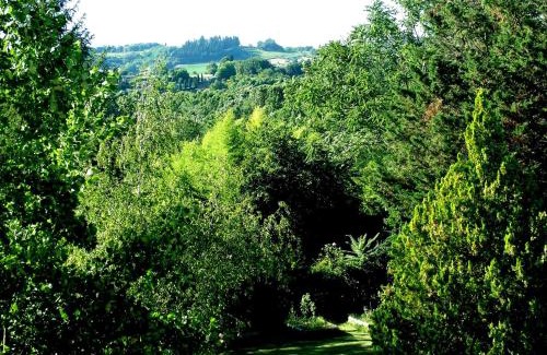 Staggia Apartment | La Francigena