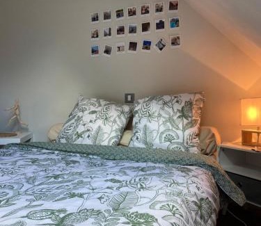 Gevrey-Chambertin Bed & Breakfast | La Gibriaçoise petite chambre chez l habitant