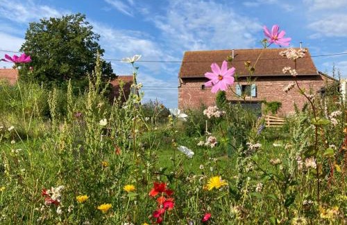 Phalsbourg Apartment | La Grange de Bois de Chêne