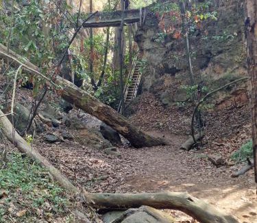 Teror House | La Herbolera Vv Apartamento