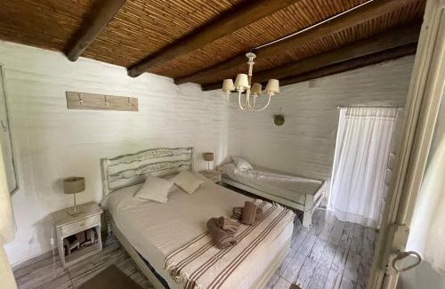 Merlo House | La higuera
