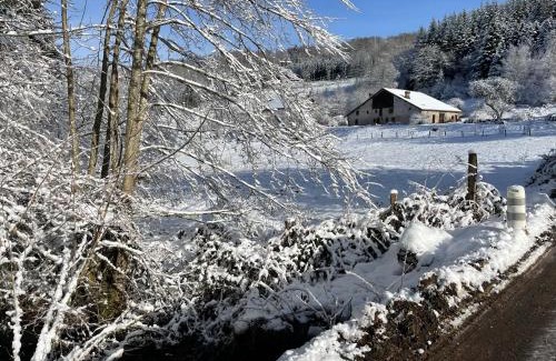 Tendon House | La Hutte