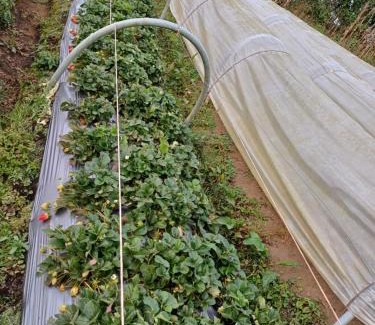 La Union de Sucre House | La jinquita