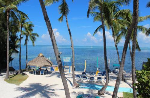 Islamorada Hotel | La Jolla Resort