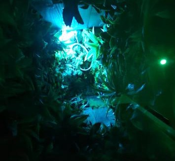 Rognac Hotel | La Jungle Room