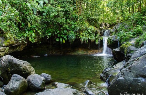 Capesterre-Belle-Eau House | La kaz Tilla