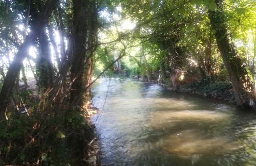 Villorba Bed & Breakfast | La Libellula