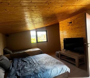 Ocna Mures House | La Lorena