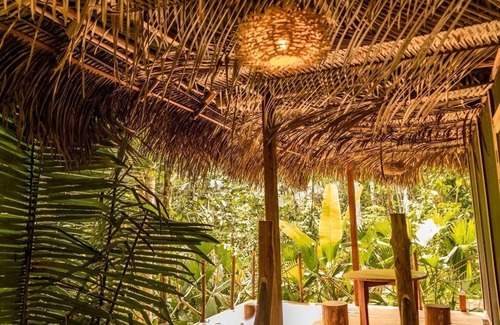 Iquitos Cabin | La LUNA Ecolodge in the Amazon jungle
