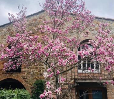 Greve in Chianti Bed & Breakfast | La Magnolia