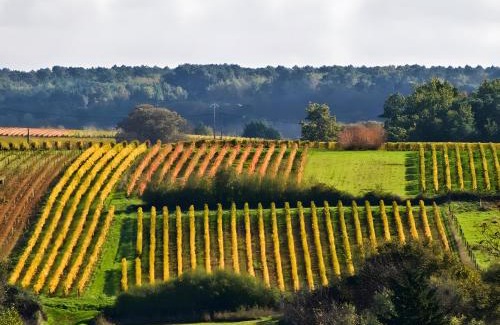 Thesee House | La Maison Bleue