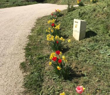 Moissac Bed & Breakfast | La maison de Laujol