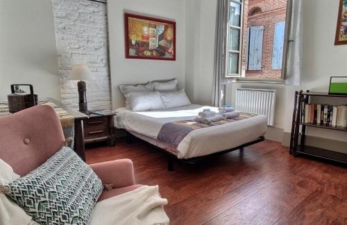 Albi Apartment | La Maison des 2 Ponts Clim Centre