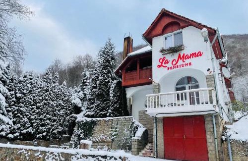Pietroasa House | La Mama