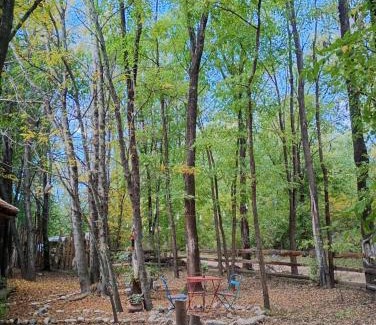 Los Reartes Other | La Margarita