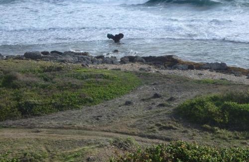 Le Moule Bed & Breakfast | La Marine