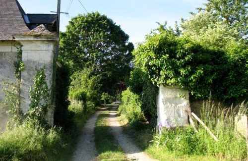 Jarze Bed & Breakfast | La Mesnagerie