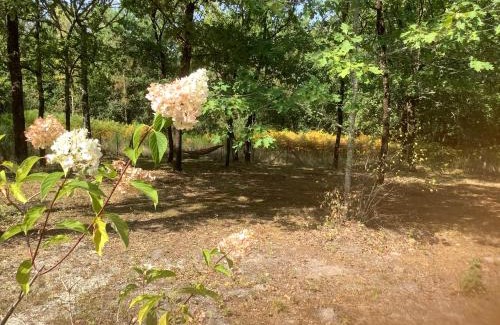 Grayan-Et-L'Hopital Apartment | La Morandiere