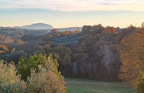 Narni House | La Nocciolaia