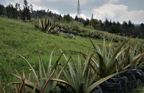 Nobsa Apartment | La Nueva Granja Hospedaje Rural
