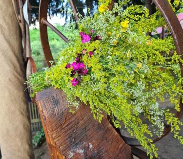 Brebu House | La Pădure