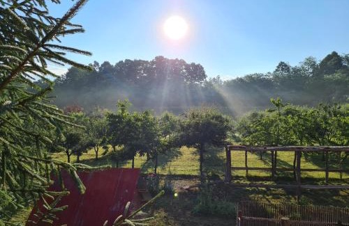 Brebu House | La Pădure