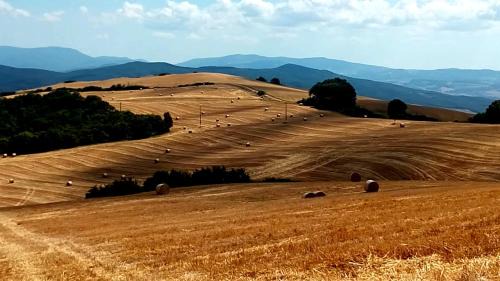 San Macario In Monte Apartment | La Pecora Verde