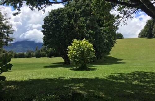 Pucon Apartment | La Peninsula Rehue