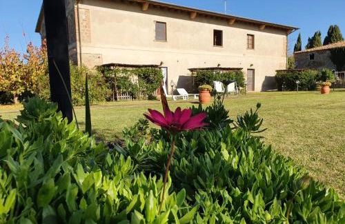Volterra House | La Pergoletta