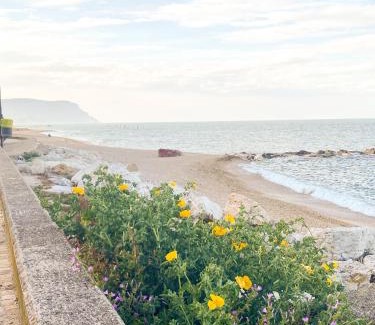 Porto Recanati Apartment | La perla del Porto
