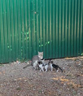 Casciana Terme Lari House | La Piastraia