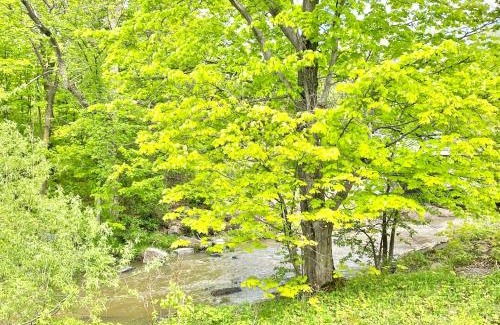 Berthier-sur-Mer Hotel | La Plage Motel