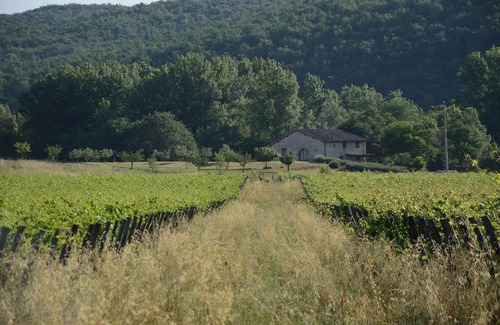 Castelnuovo Berardenga House | La Porcilaia