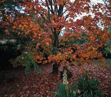 d'Entre Bievre et Rhone Bed & Breakfast | La provence