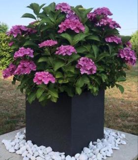 Cavallino-Treporti House | La Quercia