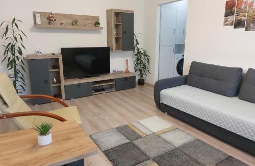 Lupeni Apartment | La Radu