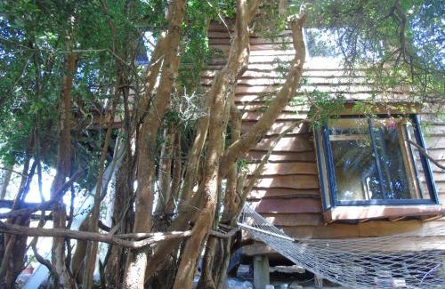 Queilen House | La Ranchita de Queilen