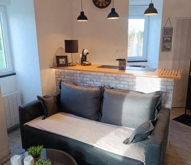 Montauban-de-Bretagne Apartment | La Ribaudière Castle