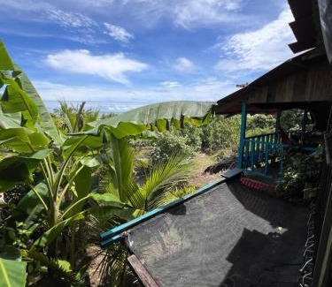 Pacifica House | La Roca House