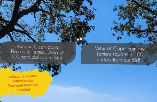 Termini Bed & Breakfast | La Rondine B&B